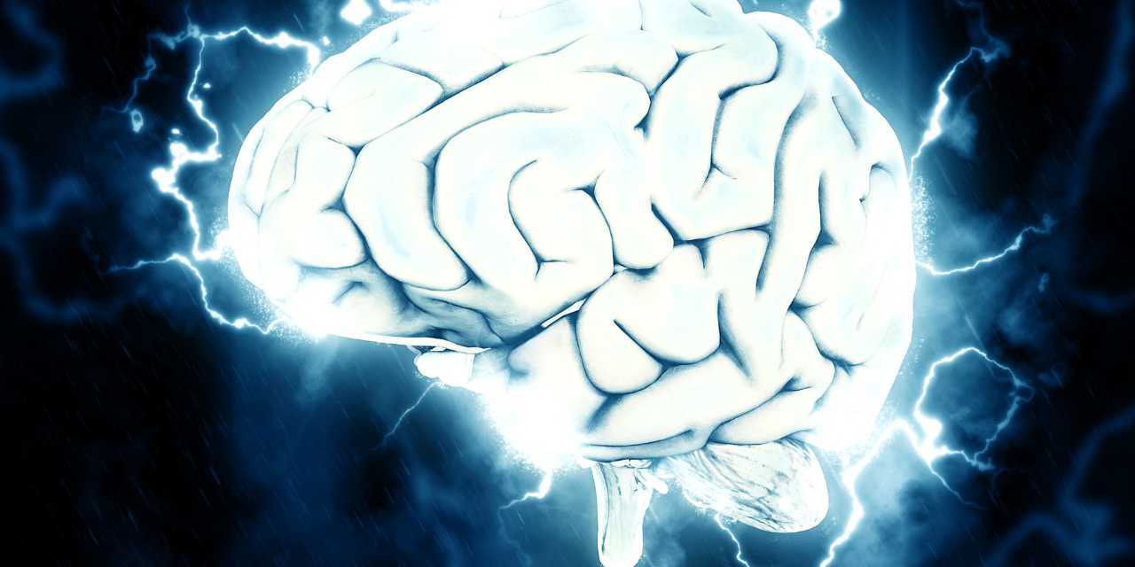 The Importance of Brain Health for Overall Wellness