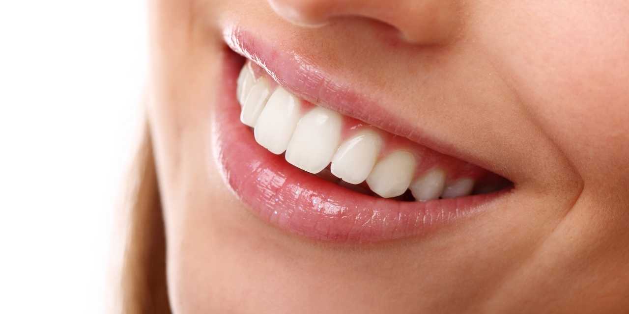 Best Dental Probiotics